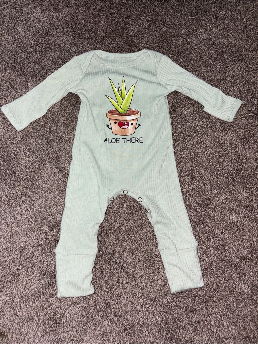 New Light Green Ribbed Baby One-Piece with Aloe Plant Graphic NB